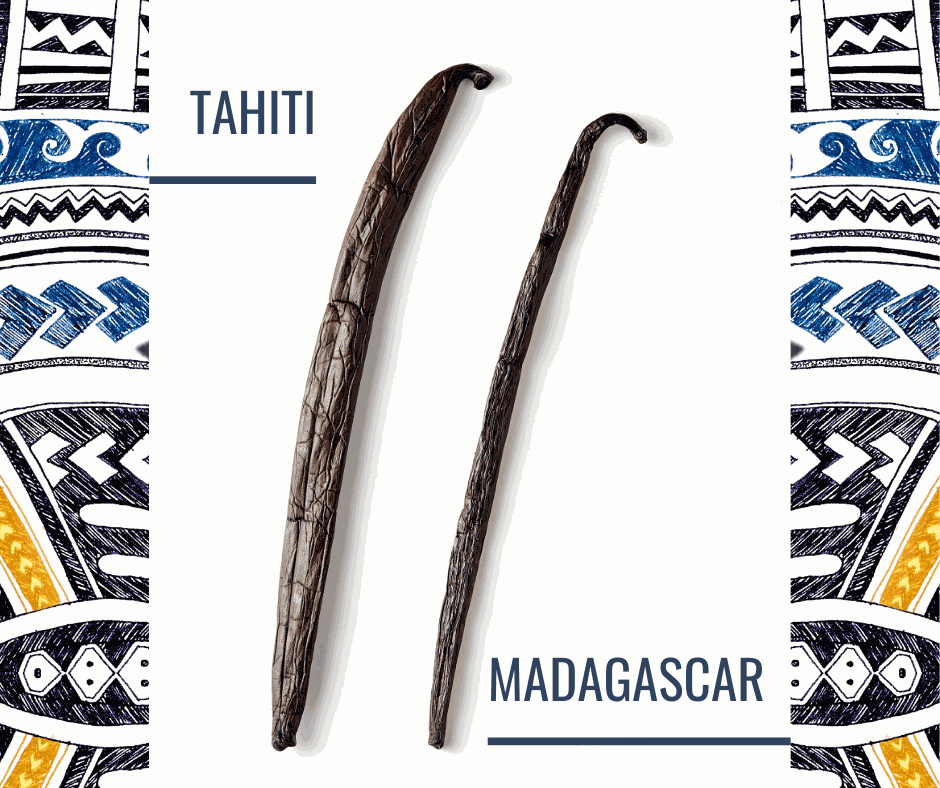 Vergleich zwischen Tahiti Vanille und Madagaskar Vanille