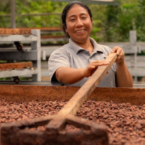 Kakaotrocknung bei Loma Larga, Peru