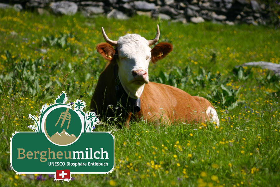 Bergheumilch aus der UNESCO Biosphäre Entlebuch