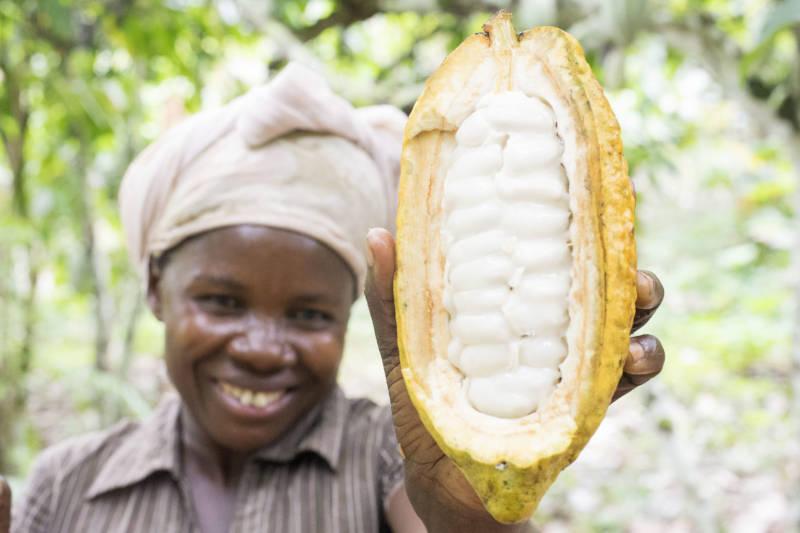 Latitude, Uganda. Farmerin mit geöffneter Kakaofrucht.