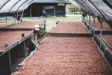 Valrhona Vanuatu