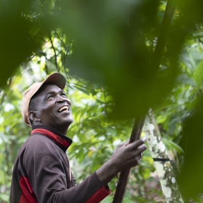 Valrhona Côte d'Ivoire Kuvertüre