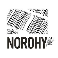 Norohy