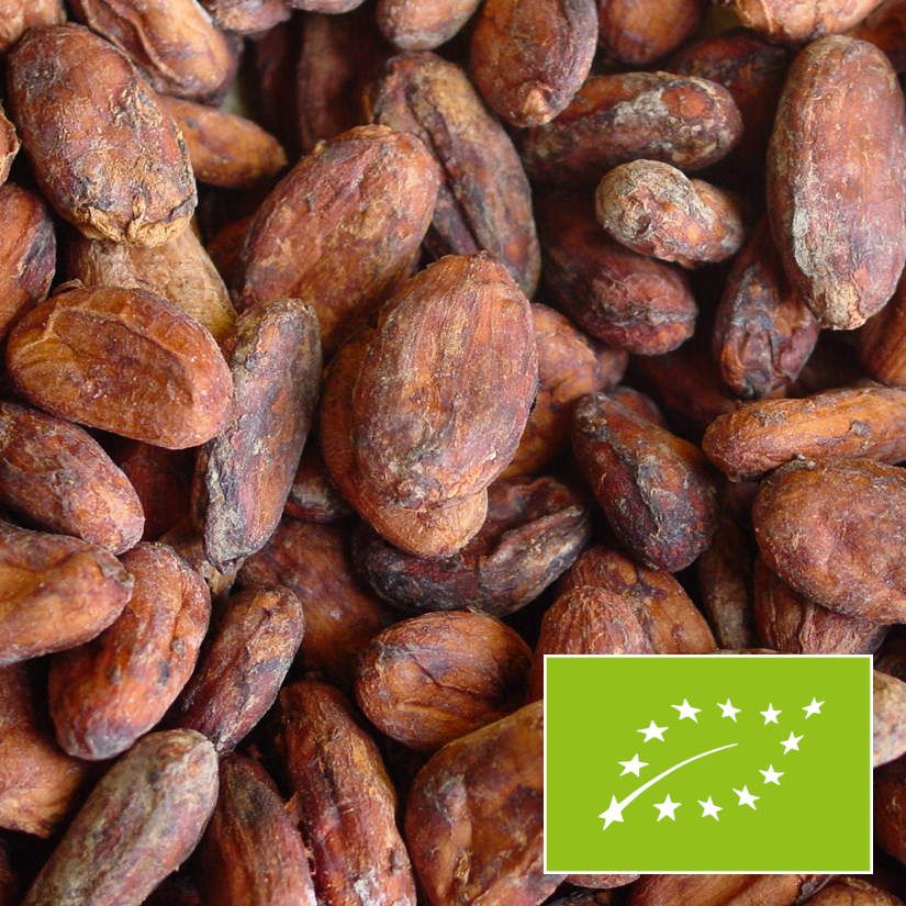Bio Kakaobohnen "Öko Caribe" Dominikanische Republik - Rohkakao