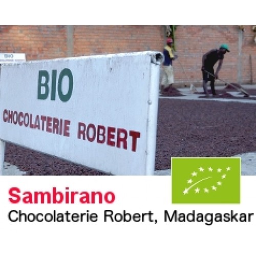 Sambirano Bio Kakaobohnen aus Madagaskar von Robert - Rohkakao