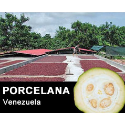 Porcelana aus Venezuela Rohkakao - Kakaobohnen