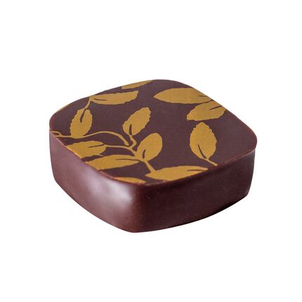 Jasmin Thé Pralinen von Valrhona